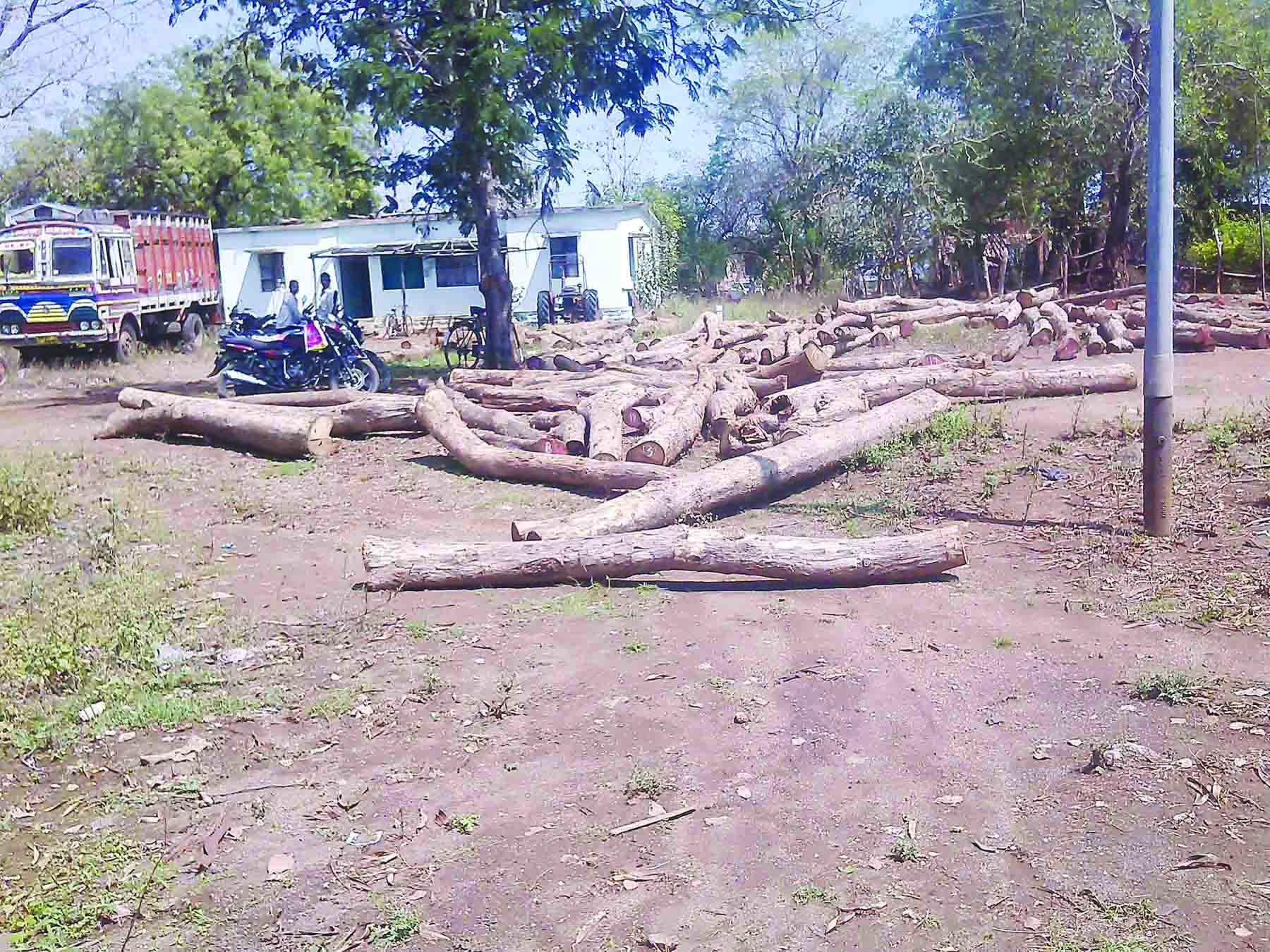 अवैध सागवान वाहतुक करणारा ट्रक जप्त 