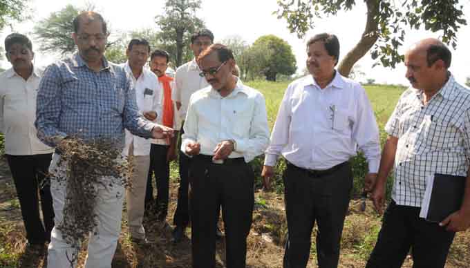 केंद्रीय समितीकडून जिल्ह्यातील नुकसानग्रस्त भागाची पाहणी