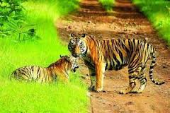 दोन अभयारण्ये खुली