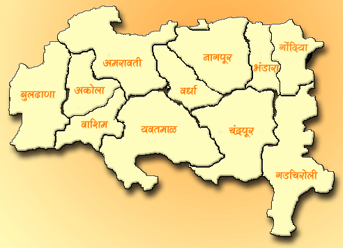 विदर्भाला सर्मथन द्या, अन्यथा 'नोटा' चा वापर ; विदर्भ कनेक्टचा उमेदवारांना इशारा