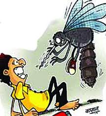 डेंग्यु आजार व त्यावरील उपाय योजना