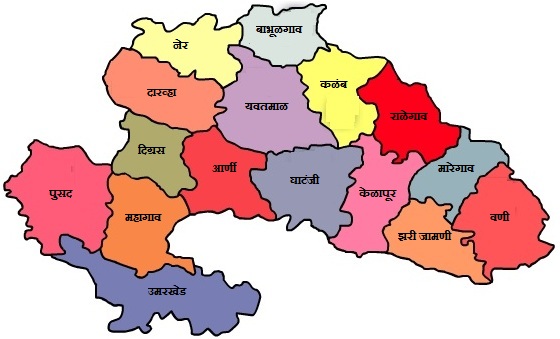 डिजीटल प्रमाणपत्राच्या वितरणात यवतमाळ राज्यात दुसरा