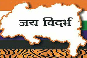  स्वतंत्र विदर्भावर ठाम!: गडकरी