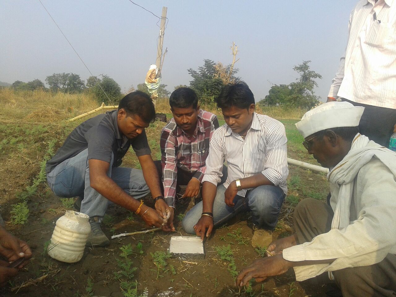 लोणबेहळ शिवारात तीन बिबट  