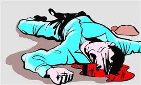 मनोरुग्ण पत्नीकडून पतीची हत्या