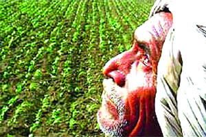 १५ ला शेतकºयांचा रास्तारोको