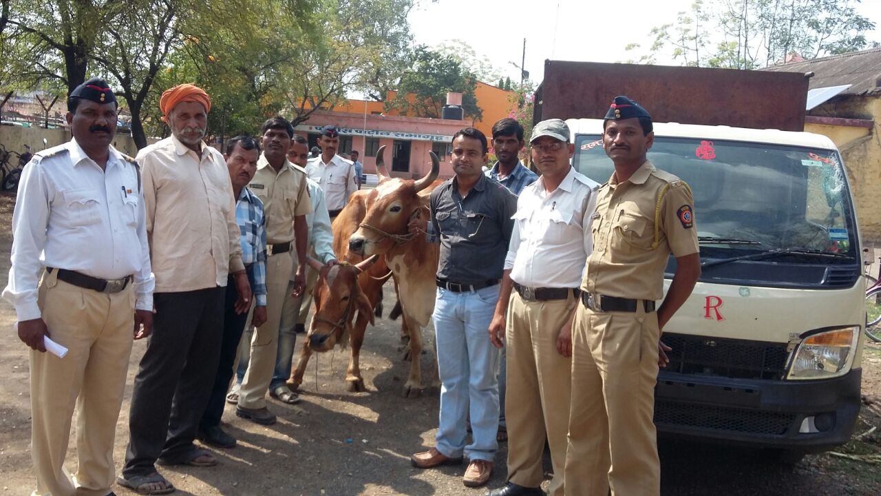 बैल चोरणाºयास वाहनासह अटक
