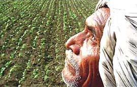 तीन महिन्यात राज्यातील तब्बल ६०१ शेतक-यांच्या आत्महत्या
