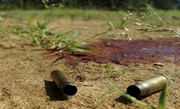 छत्तीसगड नक्षलवादी हल्ला, सात पोलिस शहीद