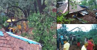 दाभोळमध्ये दरड कोसळली, 7 जण गाडले गेल्याची भीती